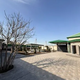 Satlyk Bagyr 8 sotuk