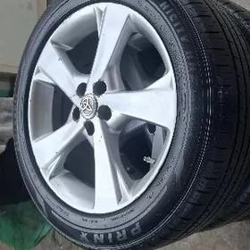 17 lik diska pakriska