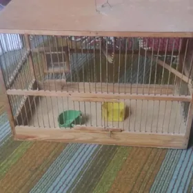 Клетка папугай учин