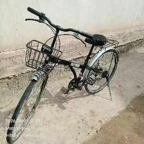 velik 6skorsly tazeje