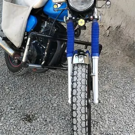 Fekon FK200-14G 2023