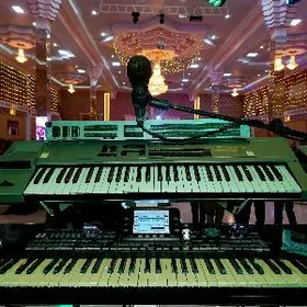 Korg pa3 D20 Dx21 pauk ustoyka