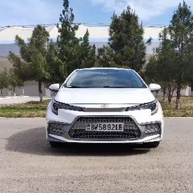 Toyota Corolla 2021