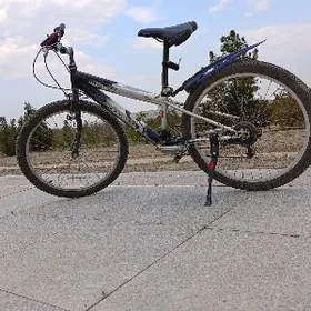 Original sport tigir