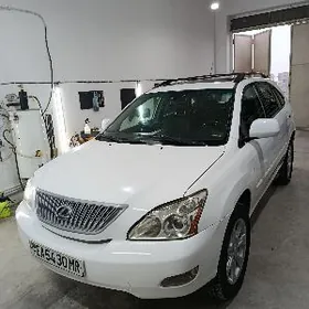 Lexus RX 330 2004
