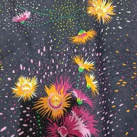 gadym matanyñ gulinden lion