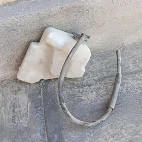 raşytylny bacok okuz kelle