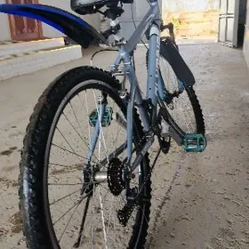 WELESİPET SİPARTİWNİ