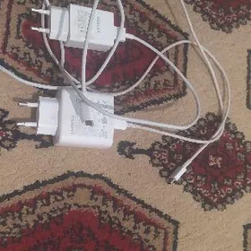 Zarýatnik Orginal  Goşa tok