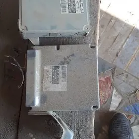 авалон кемры кампютор