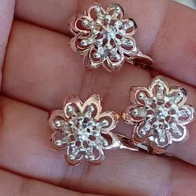 гисагли кампилекит