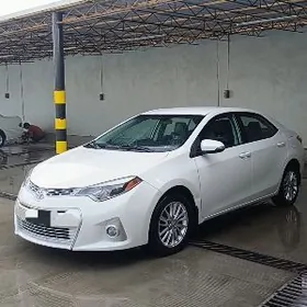 Toyota Corolla 2014