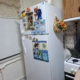 Holodilnik dwuhkamerny Delta