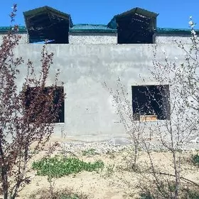 Babarapda mansard jay