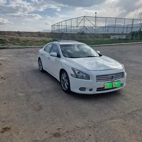 Nissan Maxima 2010