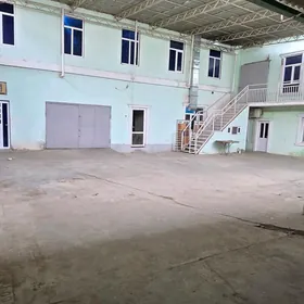 Бедев аренда ховлы