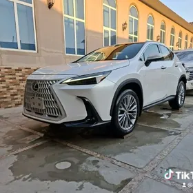 Lexus NX 350 2024
