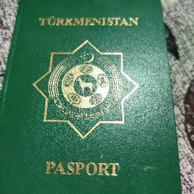 паспорт вайенни билет