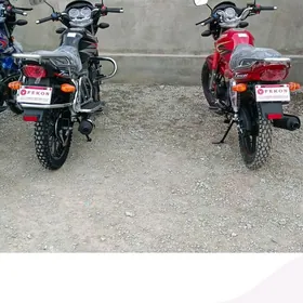 Fekon FK200-14G 2026