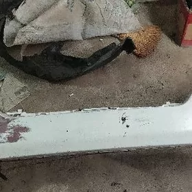 20patfinder on bufer