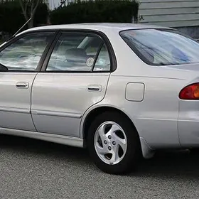 Korolla salon plasmas