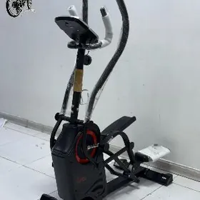 TIRNAZOR TIGIR LIZA BEGAWOY