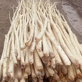 agaj hada ba ylalasyk ba