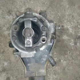 мона опел 18