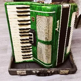 AKKORDEON АККОРДЕОН AKORDION