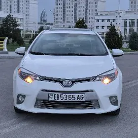 Toyota Corolla 2014