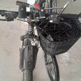 Tigir Mercedes & Bravery