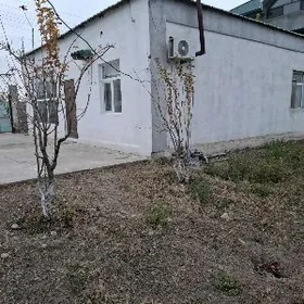 Magtymguly | Plan jaý