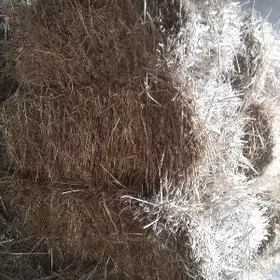 бугдай саман