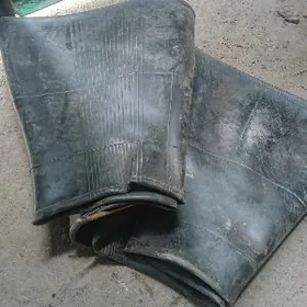 pagurssik 17.5.25 taze