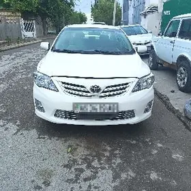 Bamper fara abirsowka