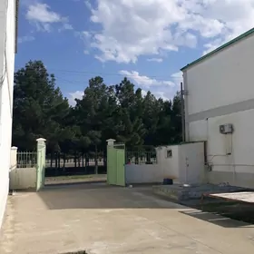 Gökdepe kottež jaý satlyk