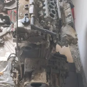 mator karopka awalon