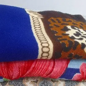 ulanylan odeallar, pokrywal