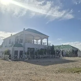 Asuda Emlak Nebitci 26