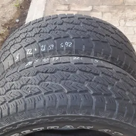 pakrişga 265 65 17lik