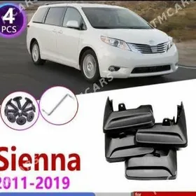 Sienna Brazgawyk 2010-17-20ýyl