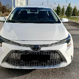 Toyota Corolla 2024