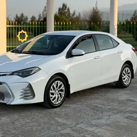 Toyota Corolla 2019
