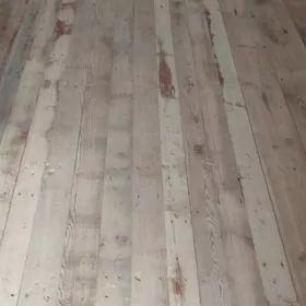 Agac pol pollap beryas