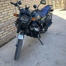 Fekon FK200-14G 2026