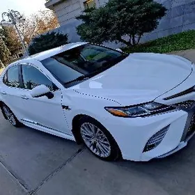 Toyota Camry 2020