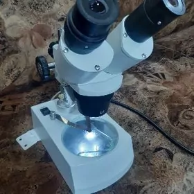 mikroskop микроскоп