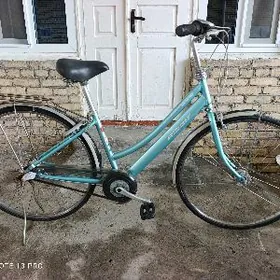 Japan 27 Albelt velik