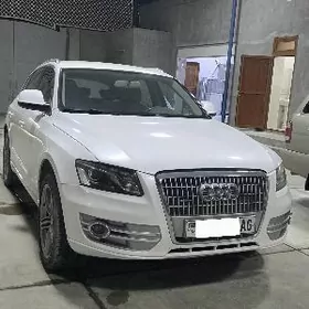 Audi Q5 2010