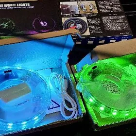 TAZE TIGIR TEKER CYRA ORIGINAL